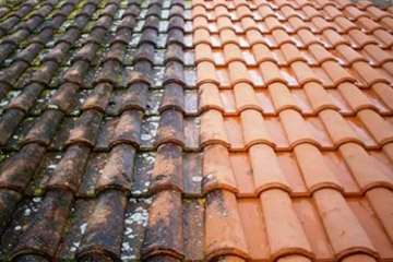 Nettoyage démoussage toiture